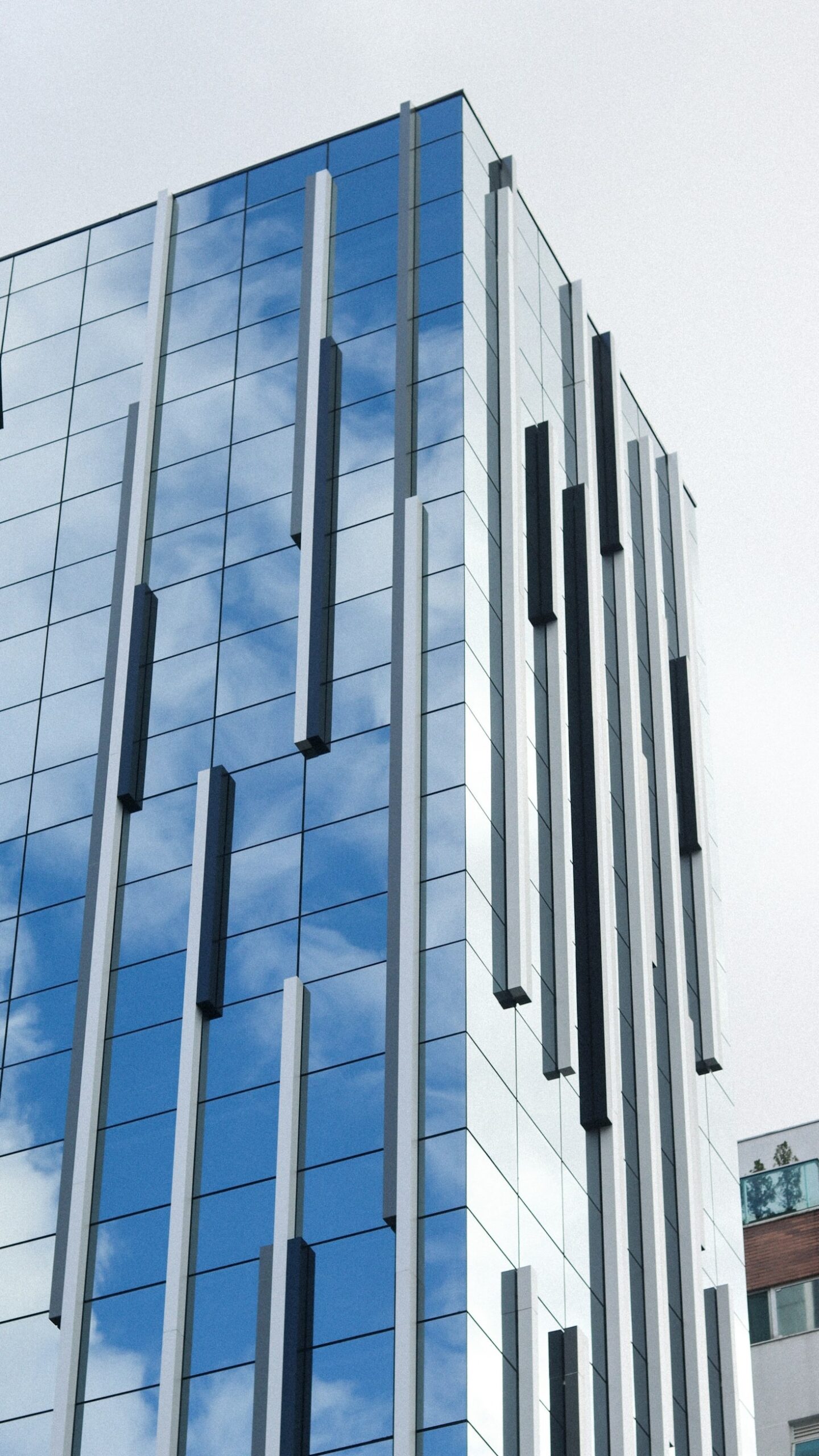 Top Strategies for Business Success in a Competitive World